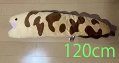 ウツボ 超BIGぬいぐるみ120cm
