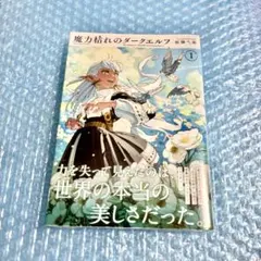 初版】魔力枯れのダークエルフ 1 巻 - メルカリ