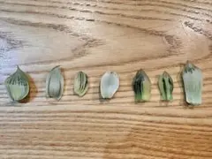 【*】様 ハオルチア　葉挿し苗セット③のサムネイル