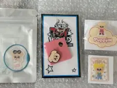 StrayKids スキズ パピーム スンミン まとめ売り