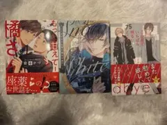 ボーイズラブ漫画3冊セット
