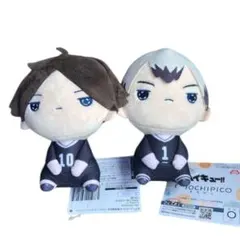 ✨早い者勝ち❤ハイキュー✨もちぴこぬいぐるみ❤角名倫太郎✨北信介❤2種セット