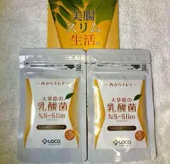 NS乳酸菌　３袋セット　今月末までのお値段です 楽天市場】大草原の乳酸菌 NS-Max・NS-Slim◇各3袋(計6袋)セット