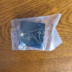 Item thumbnail for item 91c94c50-54ca-4af7-baf3-712c67de6009