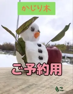 Item thumbnail for item f17476fd-5a0d-43fc-8aee-023e97bced96