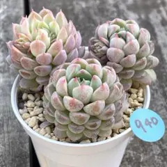 kojiguriririri様 リクエスト 4点 まとめ商品