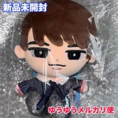 SnowMan 渡辺翔太　bigぬいぐるみのサムネイル