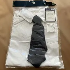 Item thumbnail for item 299ca461-6ea2-48d1-bdf4-e31eaa2b2acf