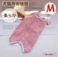 犬猫術後服【Mサイズ】手術や皮膚保護に 背中ボタンで着せやすい