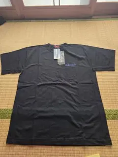 Item thumbnail for item 86a21268-0c05-479e-9789-2f86a19248e5