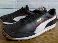 Item thumbnail for item 80388c4c-caaa-4711-ab7a-e24fd61fe41d