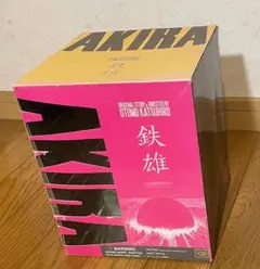 AKIRA 鉄雄 フィギュア