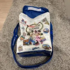 東京ディズニーリゾート バケーションパッケージ ポップコーンバケット