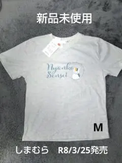 2520　新品未使用　しまむら　夏目友人帳　ニャンコ先生　Tシャツ　M　グレー