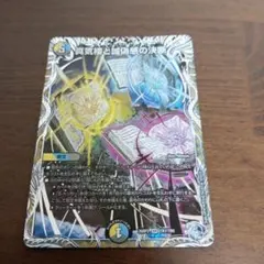パーフェクトペテンシー 銀トレジャー