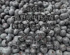 【北信州中野産　新鮮ブルーベリー　家庭用550g】ジャム用にも◎長野産のサムネイル