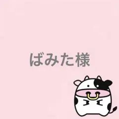 ばみた様 リクエスト 3点 まとめ商品