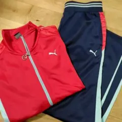 PUMA ジャージ セットアップ160