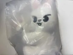 Stray Kids スキズ ポップアップ マグネット リノ