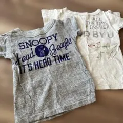 Item thumbnail for item cc43df2f-afcd-49ba-ad8d-ccd83df68ffe