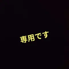 専用です。