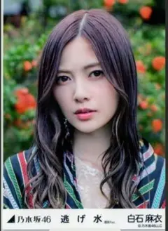 2026年最新】白石麻衣 生写真の人気アイテム - メルカリ