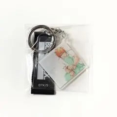 BLEACH レコード アクキー 一護