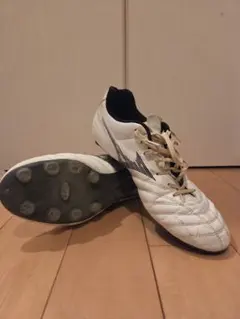 モナルシーダNEO III CELECT