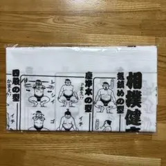 Item thumbnail for item 5dd1cf3c-a6b8-4d30-ba29-786ff5f309b5