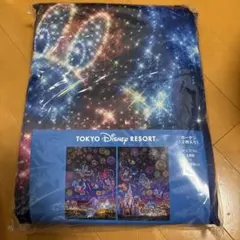 匿名 未開封未使用 東京ディズニーリゾート 花火 カーテン Disney - 東京ディズニーランド 花火 カーテン 1時間限定値下げ