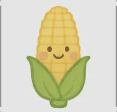 コーングローブ※第二弾