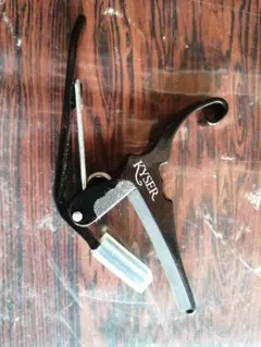 Item thumbnail for item 3d8d68d6-a9b0-4afa-b972-dc4a13aea95e