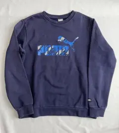 Item thumbnail for item c2630a91-cab2-4404-a36e-80eb4f9580a4