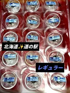 【コロボックル商品】北海道　道の駅ピンズ　シマエナガピンズ【13点セット】 Amazon.co.jp: 北海道 道の駅 シマエナガピンズ 全9種