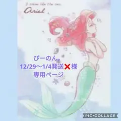 ぴーのん。12/29～1/4発送❌様 専用ページです