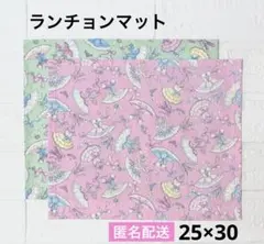 ランチョンマット25×30 バレリーナ　バレエ　ゆめかわ　給食ナフキン　女の子