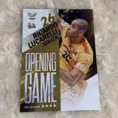 ジェイテクトSTINGS愛知 リカルド・ルカレッリ 選手　Vコレリアルカード