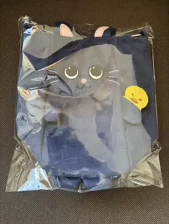 RIIZE 東京ドーム ウォンビン ファンライトバッグ ペンライトバッグ