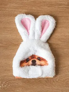 【新品】ペット用 犬 猫 ウサギ 帽子 被り物