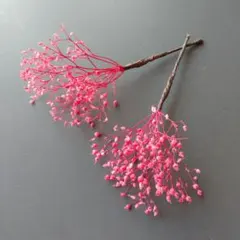 Item thumbnail for item 1089bce0-e0fb-4d4f-8fe8-b0067de9c6db