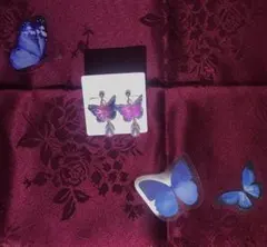 【無くなり次第終了】あくねこの「朝に出てくる蝶」をイメージしたイヤリング