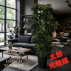 光触媒 観葉植物 ウォールグリーン フェイクグリーン ソングオブ
