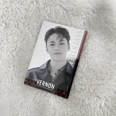 SEVENTEEN ツインウエハーストレカ バーノン