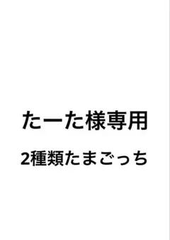 たーた様専用