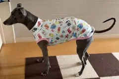 はゆ様専用