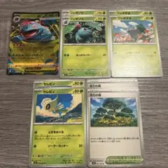 メガフシギバナ ex 進化ライン ＋α