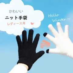 ニット手袋 ブラック 光沢感 スマホ操作可能 伸縮性 保温性抜群 レディース