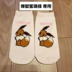 【未使用1足】ポケモンキャラクターソックス