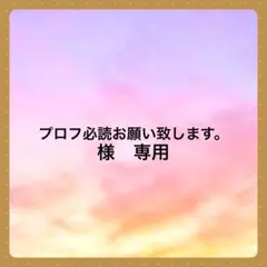 プロフ必読お願い致します。様　専用です