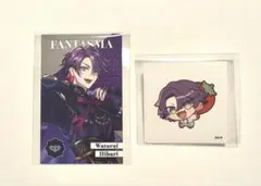 渡会雲雀　8周年セット